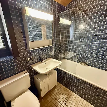 Apartment 18 8 Beautiful Alpe Des Chaux 6 People Gryon