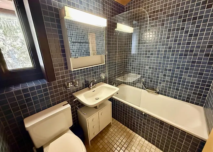 公寓 18 8 Beautiful Alpe Des Chaux 6 People 格里翁