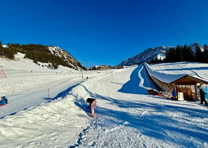 18 8 Beautiful Alpe Des Chaux 6 People 公寓 *